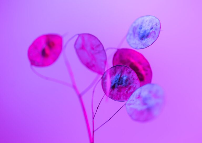 The Tokenisation of Litigation Finance: Opening Access to a High-Return Alternative Asset Class